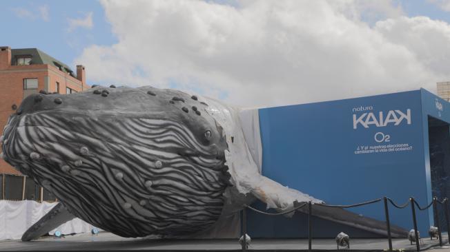 Con una experiencia en el Parque de la 93, en Bogotá, Natura Colombia mostró los impactos que tiene el plástico en los océanos.