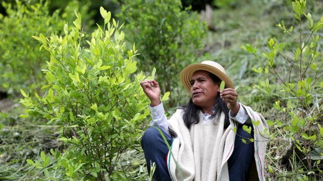 Victoriano Piñacué, el vocero indígena de la Fundación Nasawala, la cual reúne a estas comunidades que forman parte del área territorial conocida históricamente como Tierradentro.