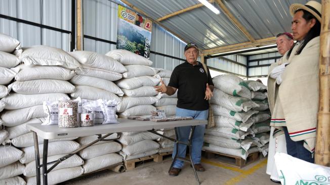 Power Leaves comercializa el primer biofertilizante a base de coca que se llama Ancestral.
Foto: César Melgarejo/ El Tiempo @cesarmelgarejoa 
 Crédito: CEET Fotógrafo: CESAR MELGAREJO