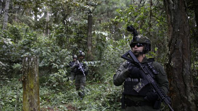 Cali, Colombia 06 julio 2024
Cien, de los cuatro mil Policías destinados a proteger la ciudad de Santiago de Cali para la COP16 que se desarrollará en la capital del Valle del Cauca y sus alrededores del 21 de octubre al 01 de noviembre del 2024, llegaron y ya están cuidando los Farallones de Cali y la zona rural y urbana de Cali. El próximo lunes llegarán cuatro pelotones de soldado del Ejército, quienes harán parte del Batallón de Alta Montaña #3 en el corregimiento de Felidia.