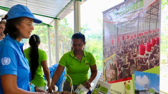 Fondo Multidonante de la ONU para la Paz en Norte de Santander.