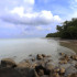 Isla Gorgona, es un santuario natural declarado por la Unesco, Patrimonio de la Humanidad, aquí se puede observar  varias especies de tiburones, delfines, lobos marinos y varias especies endémicas.