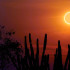 En todo Colombia se podrá apreciar el eclipse anular de sol.
