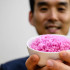 El profesor Hong Jin-kee muestra el “arroz carnoso” desarrollado en la Universidad Yonsei en Seúl.