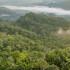 De las 83 hectáreas del parque, 35 están destinadas para la conservación del bosque seco tropical.