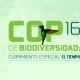 Share cubrimiento especial COP16