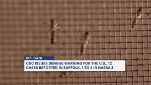 CDC issues Dengue warning: Up to 16 cases reported on Long Island