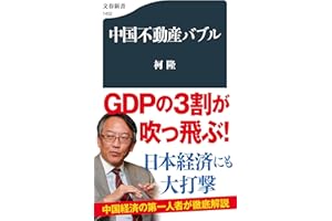 中国不動産バブル (文春新書 1452)