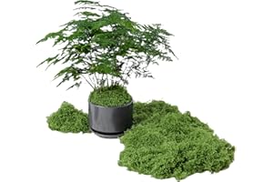 100g Fake Moss Artificial Moss, Simulated Moss, Turf Artificial Moss, Landscape Moss, Synthetic Moss, Artificial Moss for Pla