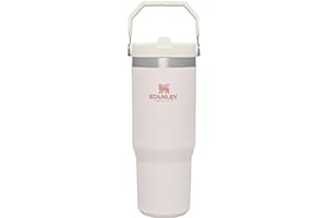 STANLEY IceFlow Stainless Steel Tumbler with Straw, Vacuum Insulated Water Bottle for Home, Office or Car, Reusable Cup with 