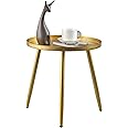 AOJEZOR Gold End Table, Ideal for Any Room-Side Tables Living Room,Bedroom, Gold Plant Stand Balcony, Metal Structure Indoor 