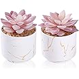 ZENIDA Artificial Plants and Succulents in 2 White Ceramic Pots,Small Fake Plants for Office and Desk Decor,Bathroom, Bedroom