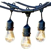 Newhouse Lighting Outdoor String Lights with Hanging Sockets; Weatherproof Technology; Heavy Duty 25-foot Cord; 10 Lights Bul