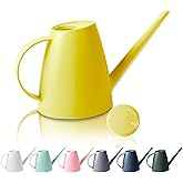 Watering Can for Indoor Outdoor Plants, Modern Small Watering Cans with Removable Nozzle, Long Spout Watering Can for Indoor 