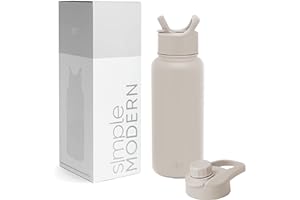 Simple Modern Water Bottle with Straw and Chug Lid Vacuum Insulated Stainless Steel Metal Thermos Bottles | Reusable Leak Pro