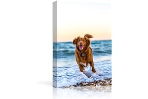 NWT Custom Canvas Prints with Your Photos for Pet/Animal, Personalized Canvas Pictures for Wall to Print Framed 24x16 inches