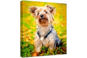 Personalized Photo to Canvas Print - Canvas Prints With Your Photos on Custom Wall Art for Bedroom, Living Room, Wedding Baby