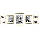 ArtbyHannah 7 Pack Gold Gallery Wall Picture Frames Sets with Decorative Botanical Art Prints for Photo Frame Collages for Ho