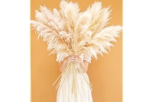 46" inch 10 Stems Natural Pampas Grass Decor Tall, Pompas Grass, Tall Pampas Grass for Weddingm, Farmhouse, Boho Home Decor (