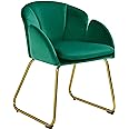 Yaheetech Flower Shape Velvet Armchair, Modern Side Chair Vanity Chair with Golden Metal Legs for Living Room/Dressing Room/B