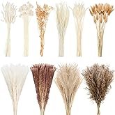 324 Pcs Dried Pampas Grass Decor Bulk 17 Inch White Pampas Reed Grass Fluffy Pampas Grass Tall 10 Various Natural Dried Flowe