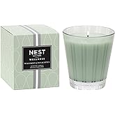 NEST New York Wild Mint & Eucalyptus Scented Classic Candle