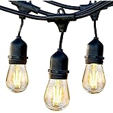 Brightech Ambience Pro - Waterproof LED Outdoor String Lights - Hanging, Dimmable 2W Vintage Edison Bulbs - 48 Ft Commercial 