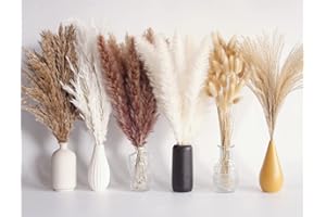 110 PCS Dried Pampas Grass Bouquet, Boho Table Decor, Bunny Tails Dried Flowers, Brown Pompas, White Pampas Grass for Wedding