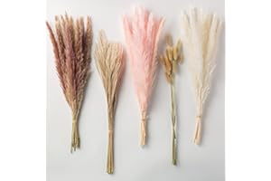 Dried Pampas Grass,100 pcs 17 inch Pampas Grass Decor-15Pcs White Pampas&20Pcs Brown Pampas&15Pcs Pink Pampas&30Pcs Reed Gras