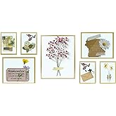 Frametory, Floating Picture Frames Set - Gold Metal Photo Frames - Real Glass - Displays One 11x14, Two 8x10, And Four 5x7 In