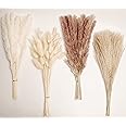 Natural Dried Pampas Grass Decor, 100 PCS Pampas Grass Contains White Bunny Tails Dried Flowers, Reed Grass Bouquet for Weddi