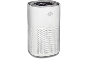 Clorox Air Purifiers for Home, True HEPA Filter, Medium Rooms Up to 1,000 Sq Ft, Removes 99.9% of Mold, Viruses, Wildfire Smo