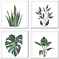 ArtbyHannah 10x10 Framed Wall Art Plant Wall Decor for Bathroom Wall Pictures with White Frames and Green Leaf Plant Prints, 