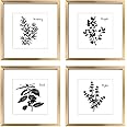 ArtbyHannah Framed Kitchen Wall Art Herbs Wall Art Decor, 11x11 Inches Gold Frame Set with Botanical Prints for Home Decorati