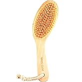 Skin Gym Dry Body Brush Exfoliating Bath Scrubber with Soft and Stiff Bristles For Cellulite Treatment, Lymphatic Drainage an