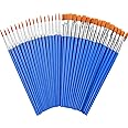 60 Pcs Paint Brushes,Round Flat Small Brush Bulk for Detail Painting