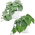 Der Rose 2 Packs Small Fake Plants Artificial Plants for Home Bedroom Aesthetic Living Room Bathroom Farmhouse Decor Indoor