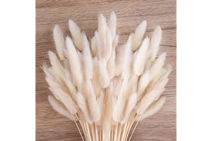 JOHOUSE 120 White Bunny Tails Dried Flowers, Lagurus Pampas Grass, Bunny Tails Handpicked Bunch, Dried Flowers for Interior D