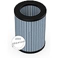 Pure Enrichment® Genuine 2-in-1 True HEPA Replacement Filter for the PureZone™ Mini Portable Air Purifier (PEPERSAP)