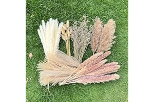 100Pcs Pampas Grass Boho Home Decor 17 inch Natural Dried Flowers-Pampas Grass Contains Bunny Tails White Pampas Brown Pampas