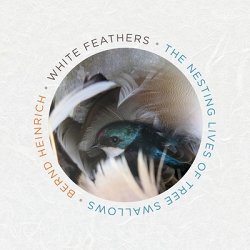 White Feathers Lib/E: The Nesting Lives of Tree Swallows