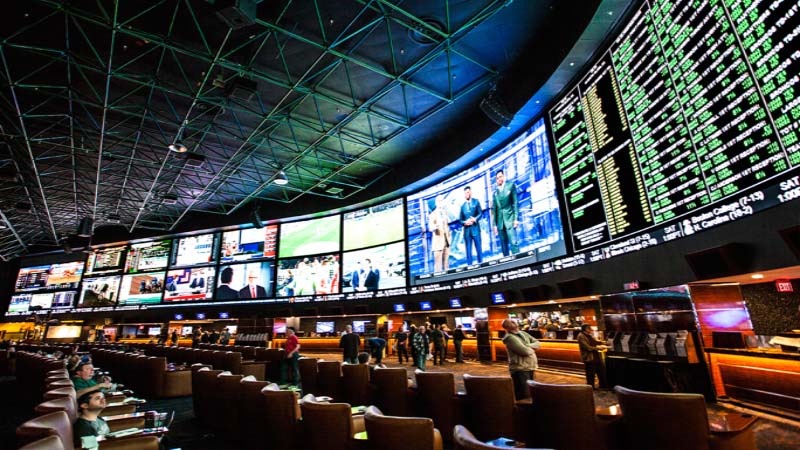 Sports Gambling Is Now Legal: All You Need to Know article feature image