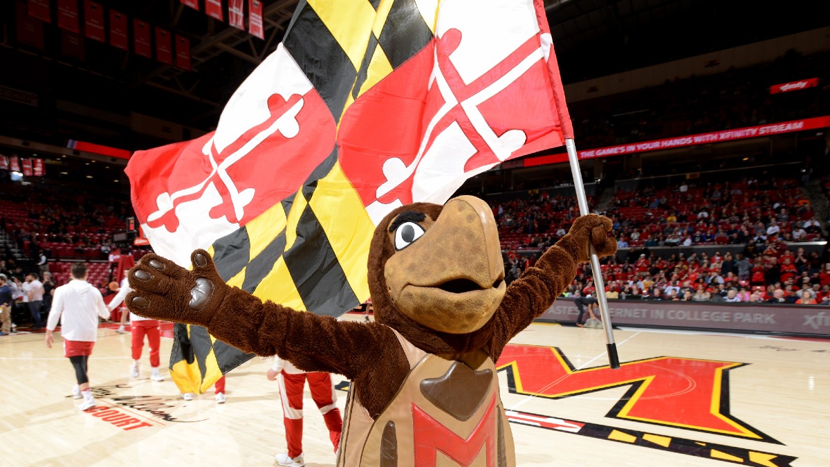 Maryland Sports Betting Approved By Voters Image