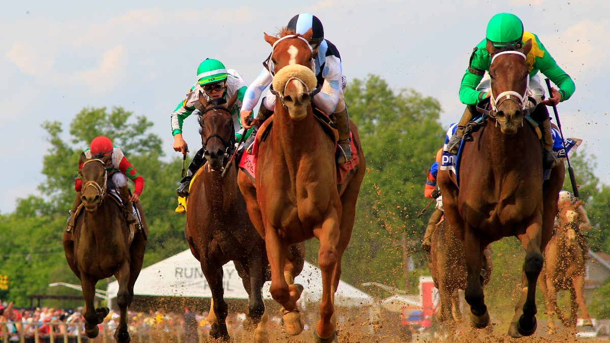 DRF Bets Promo Code Offers $260 Value Sign-Up Bonus for 2023 Preakness Stakes Image