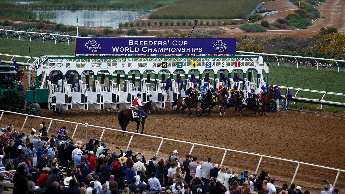 The Best Way to Use Your Risk-Free $300 Bet on the Breeders' Cup Image