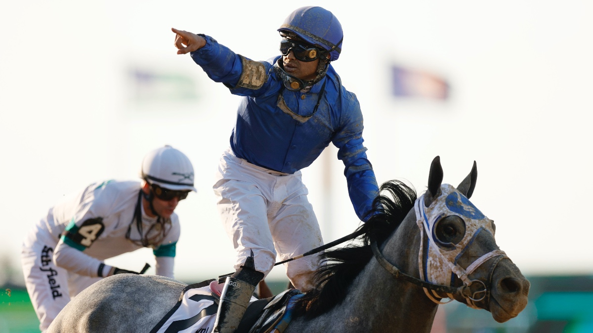 2021 Breeders' Cup Odds & Picks: Best Bets & Exotics on Saturday's Card Image