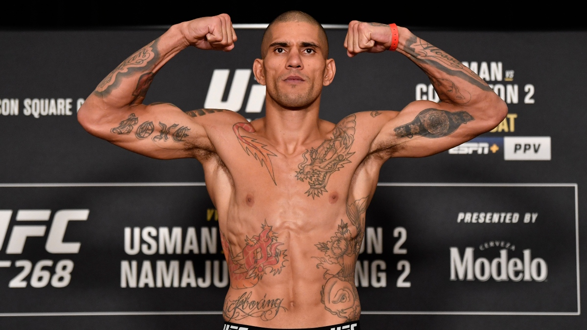 Pereira vs. Michailidis: Highly Anticipated Kickboxer Debuts at UFC 268 Image