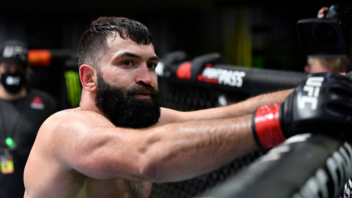 Arlovski vs. Vanderaa: Can the UFC Legend to Extend His Win Streak? Image