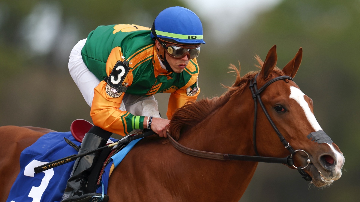 Kentucky Derby Prep Race Odds, Picks: Our Best Bets & Longshots for Tampa Bay Derby Image