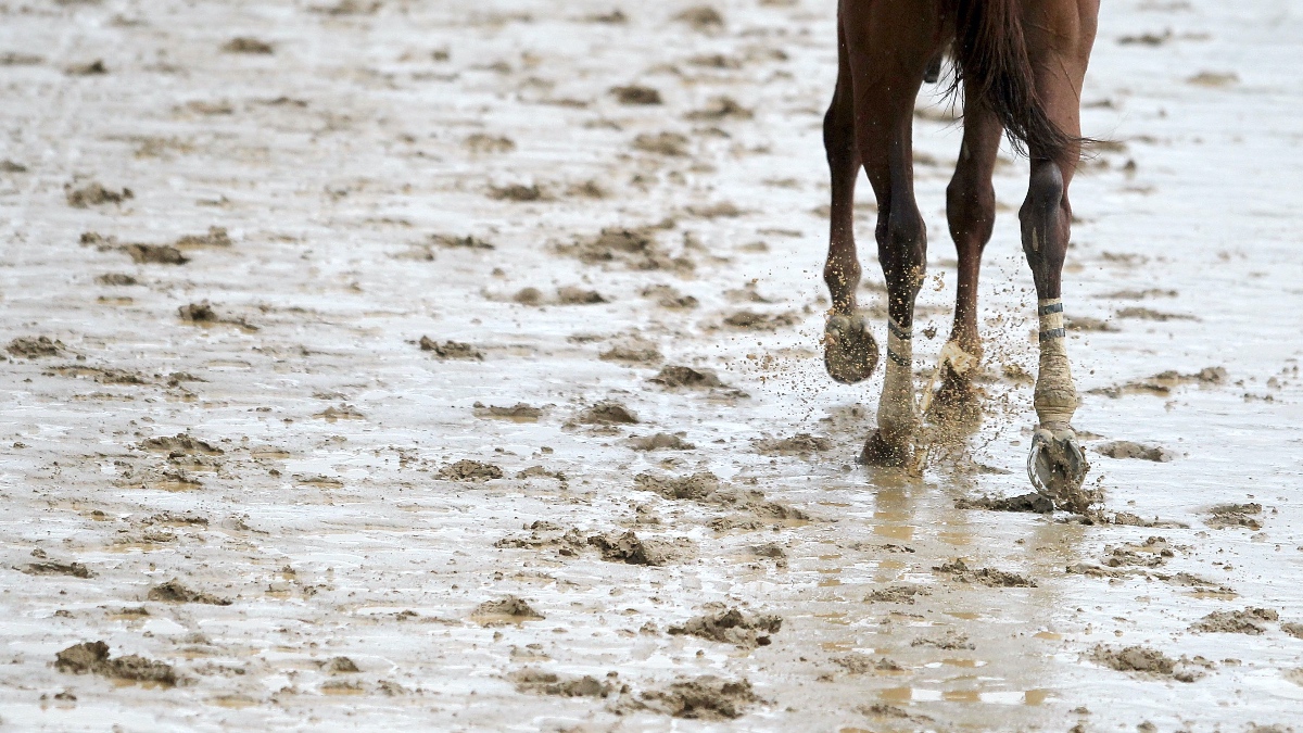 2022 Kentucky Oaks Weather, Track Conditions: Rain Likely to Hit Louisville Area Image